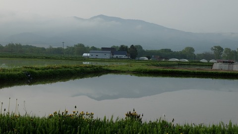 DSCF9361