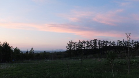 DSCF9170