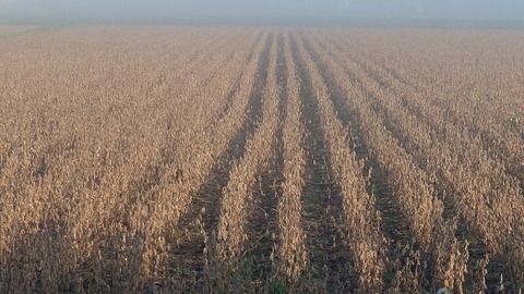 DSCF4413