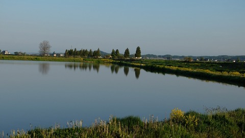 DSCF9442
