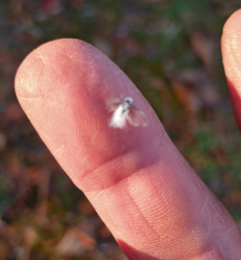 20241030_153327 - コピー