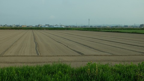 DSCF9358