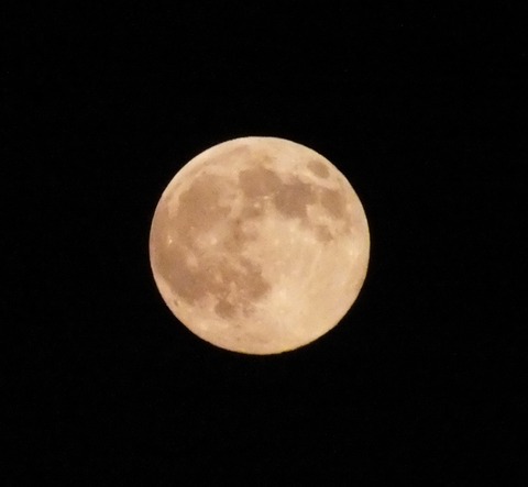 DSCF9930 - コピー