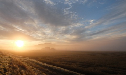 DSCF4093 - コピー