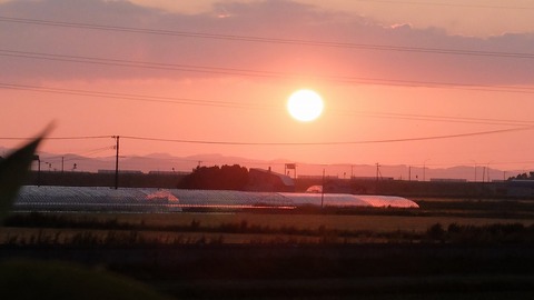 DSCF0446