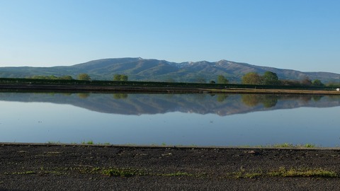 DSCF9102
