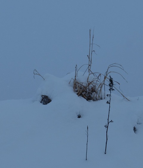 DSCF5883 - コピー