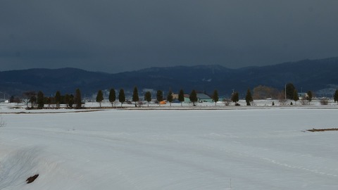 DSCF6903