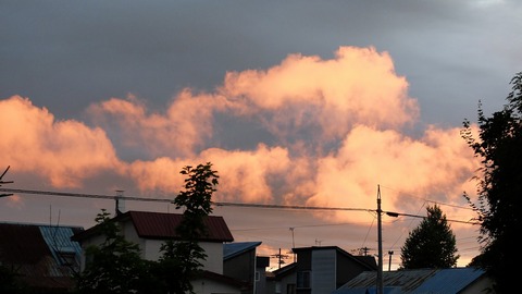 DSCF0345