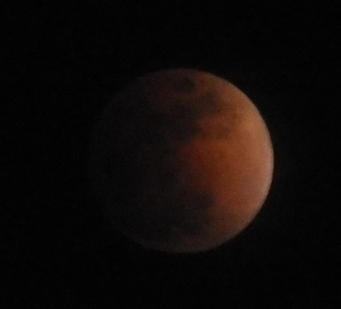 DSCF0205 - コピー