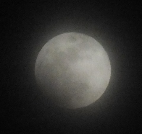 DSCF0153 - コピー