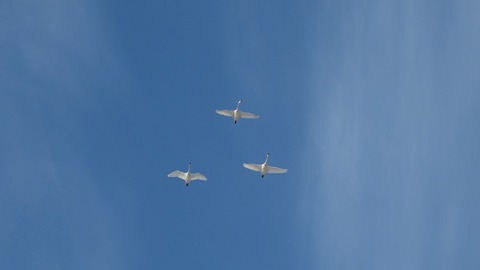 DSCF7637