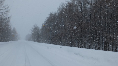 DSCF6764