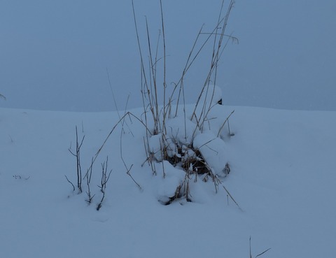 DSCF5882 - コピー