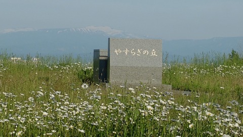 DSCF9644