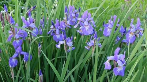 DSCF9844