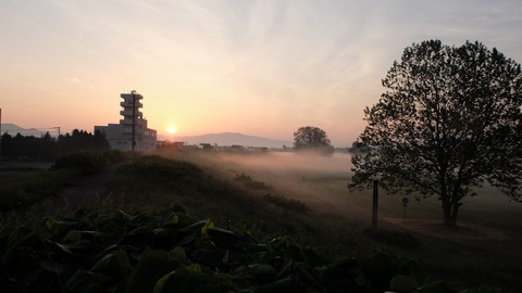 DSCF9663