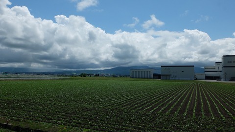 DSCF0323