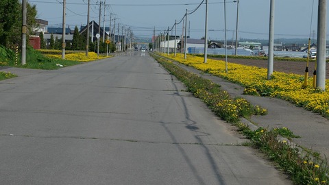 DSCF9275