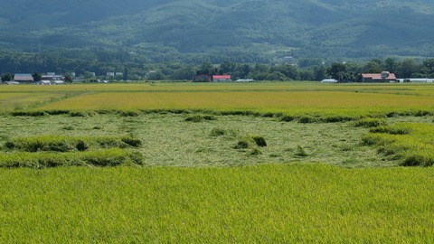 DSCF5914