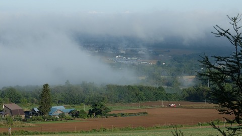 DSCF3914