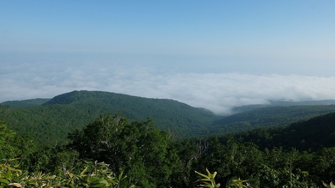 DSCF0494