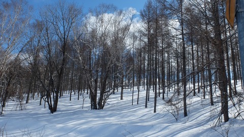 DSCF8828