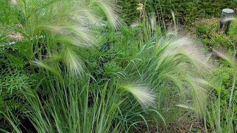 DSCF0583