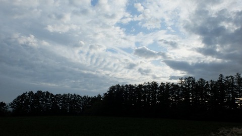 DSCF9478