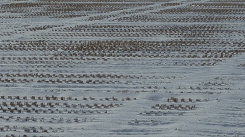 DSCF4275 (1024x576)