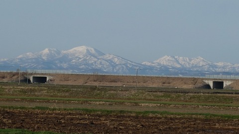 DSCF8014