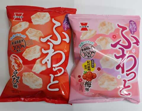 2026010513iwatsukaseika