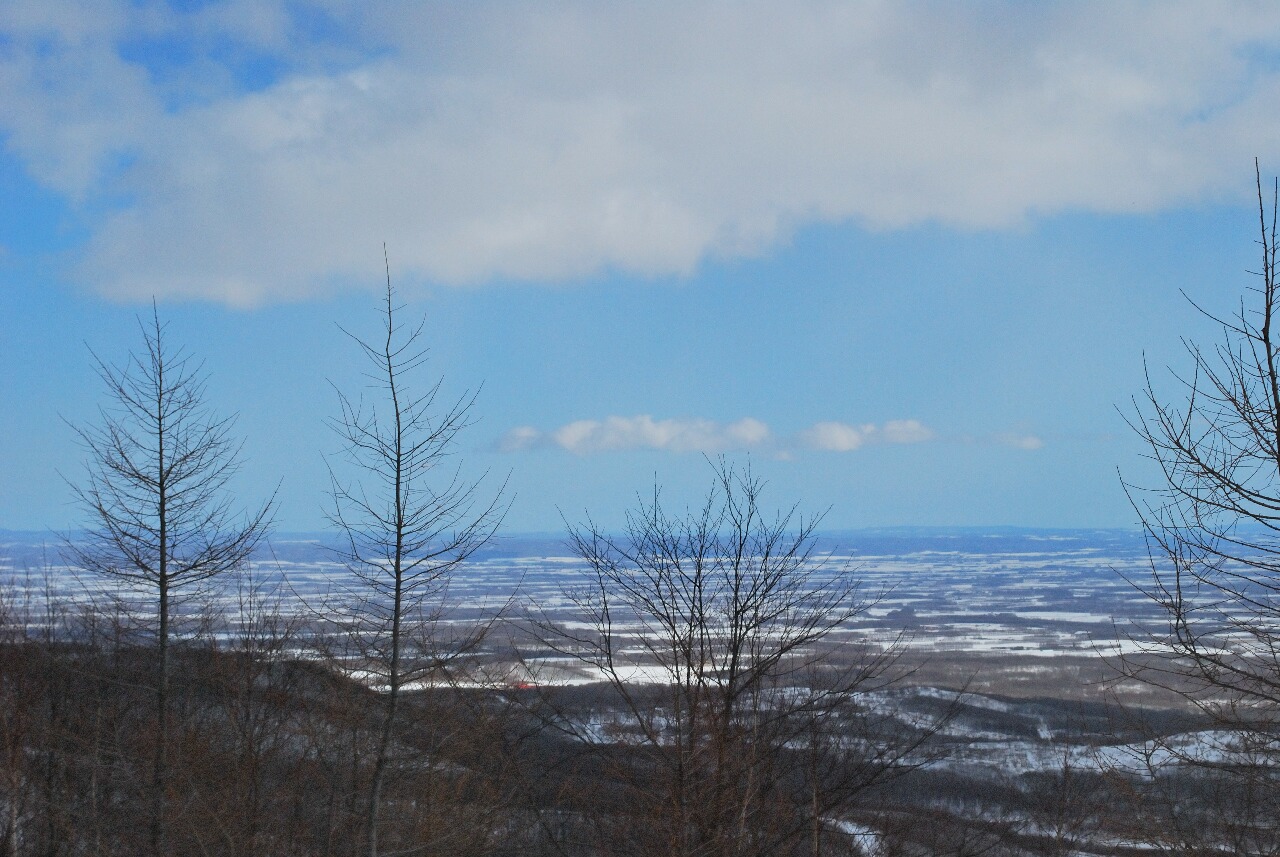 春の扇ヶ原展望台 北海道を元気にするブログ