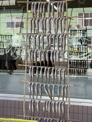 IMG_2553