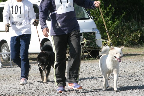IMG_1972 (3)