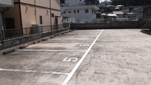 DSCF8296