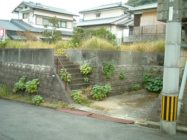 DSCF0135