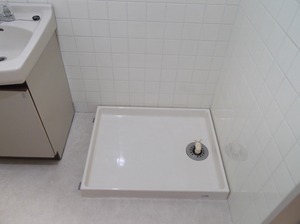 DSCF8119