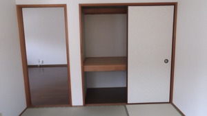 DSCF8231