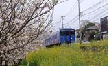 電車