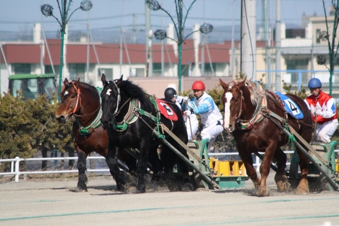 予想 帯広 ばんえい 競馬