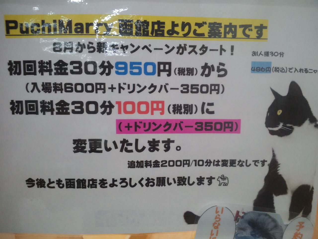 猫カフェpuchimarry 函館megaドン キホーテ店 のんべえ函館のブログ