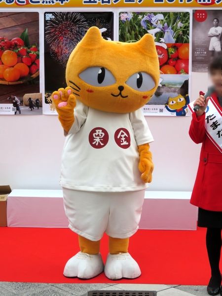 タマにゃん 北摂百貨天 ご当地キャラ展示室 タマにゃん 北摂百貨天 ご当地キャラ展示室