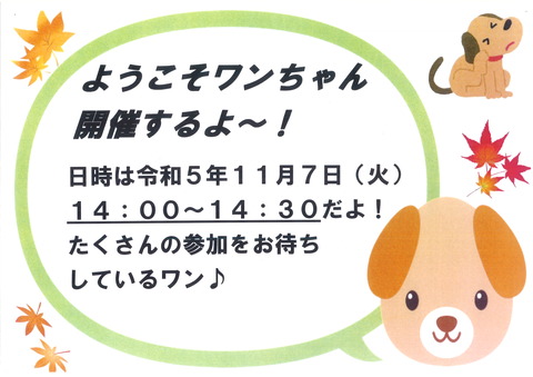 20231107145328_00001