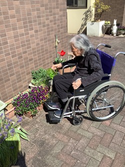 894331AD-A377-4F04-84D7-FC9C77FC5F2A