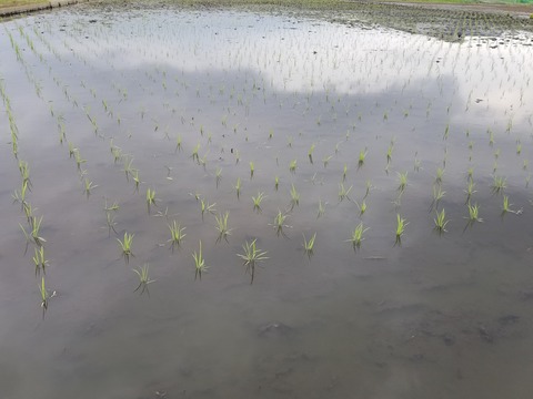 20190515_141344