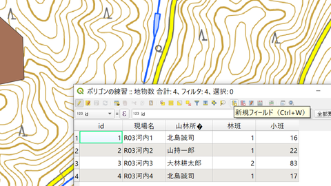 新規フィールド1