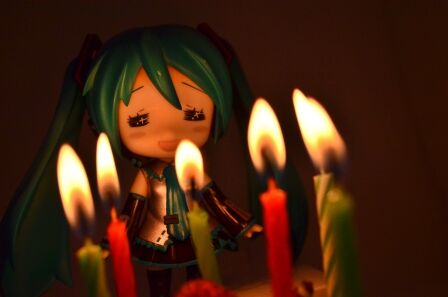イメージ 5