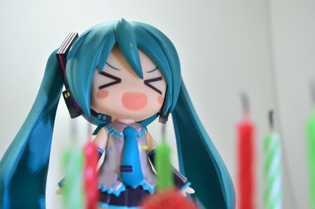 イメージ 6
