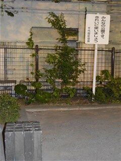 イメージ 208